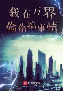 不做皇子妃：东风误