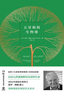 妖仙大森林