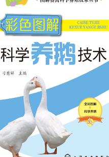 失落的奇迹