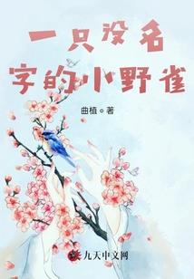 芯体