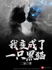 伪综漫诺雅