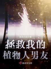 郑吒的圣杯