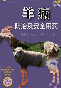 精灵降临到我身边