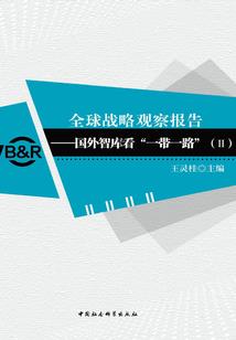执手江山木槿泪
