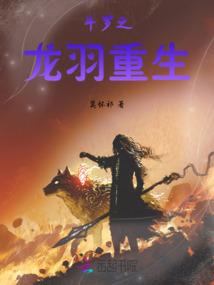 索菲特的巫师之旅