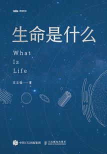 亲爱的鹏先生