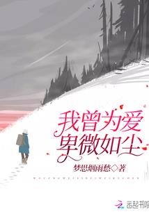 网游之虹星龙王传记