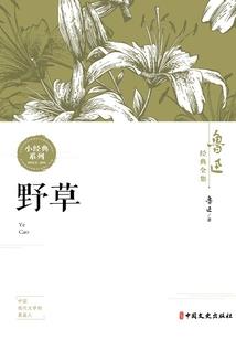 吾父刘皇叔