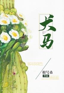 惊世绝凰之孤傲皇妃