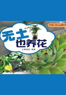 我的调皮侦探妃
