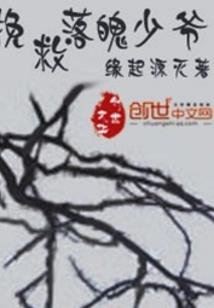 追寻之岁月如歌