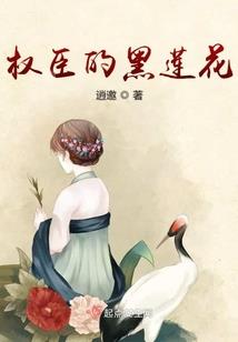 风云北汉