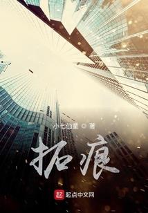异少风雷录