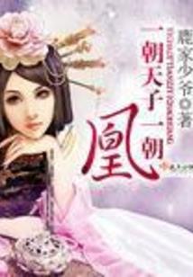 晖映