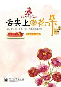边城传记