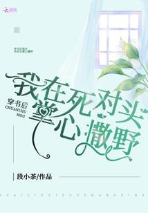 少女收藏