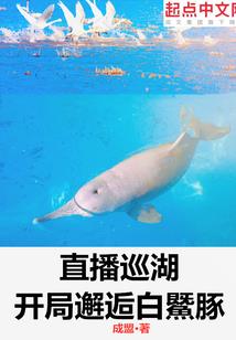 历练之旅