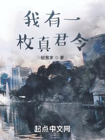 魅影神偷