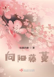 惊鸿入梦