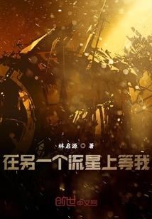 武极之上为现世