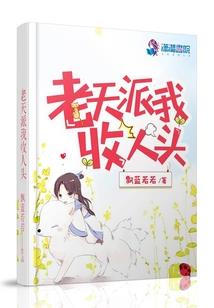 陆少的前妻