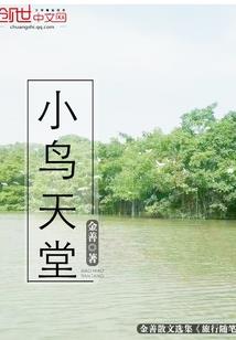 孤夜战长空