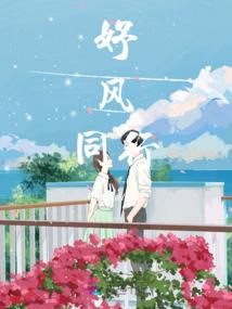 倾城系统