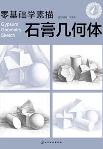 冷总裁的小甜心