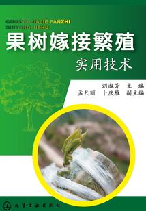 我所经历过的那些年