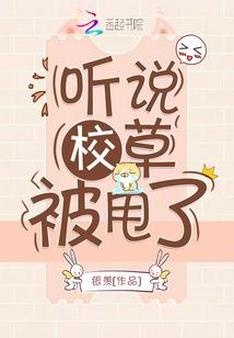 凡尘之耀