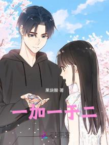 口袋妖怪序列之争