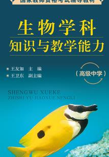 夜之璇