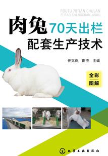 野生向日葵
