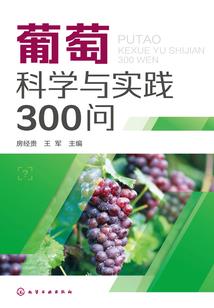 沉世，寻忆