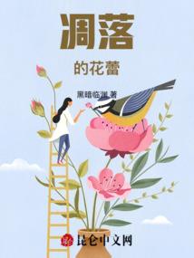 超级星舰分身