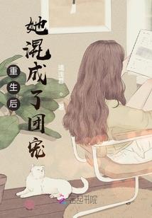 乱世铜丸
