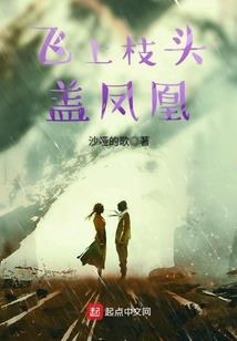 局外人设