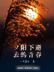 秋茶璃筱