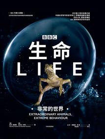 息舞
