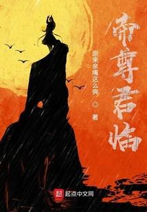 盗王传说