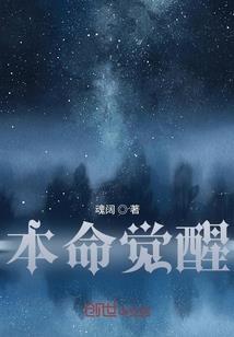 轻熟竞技场