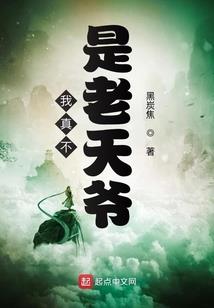 在大宋的日子里