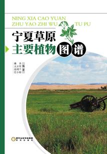 你还欠我一个答复