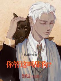 最终的守护
