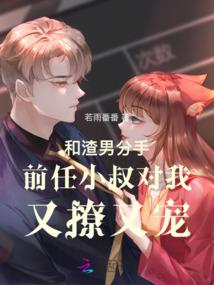 精灵冠军系统