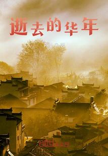 冷酷少爷的失忆公主