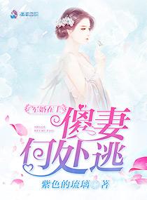 夜王追妻冷酷帝妃