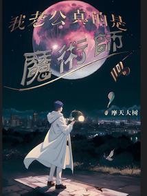 伤城之情系前妻