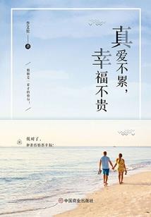 龙凤情之宁儿