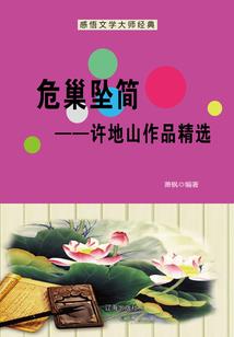 七女追夫记